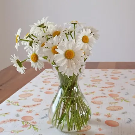 Ferienwohnung Kallenfels Σπίτι διακοπών Kirn